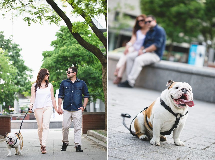 a couple and their American bulldog pet as photographed by Toronto wedding photographer