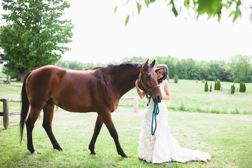 Portrait of a beautiful bride with a beautiful stallion on her side at a Waterstone Estate and Farms wedding.