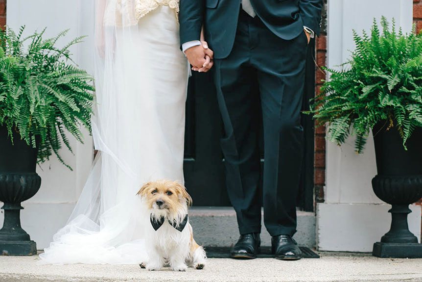 Cute dog poses with the bride and groom photographed by Cambridge Documentary Wedding Photographer.