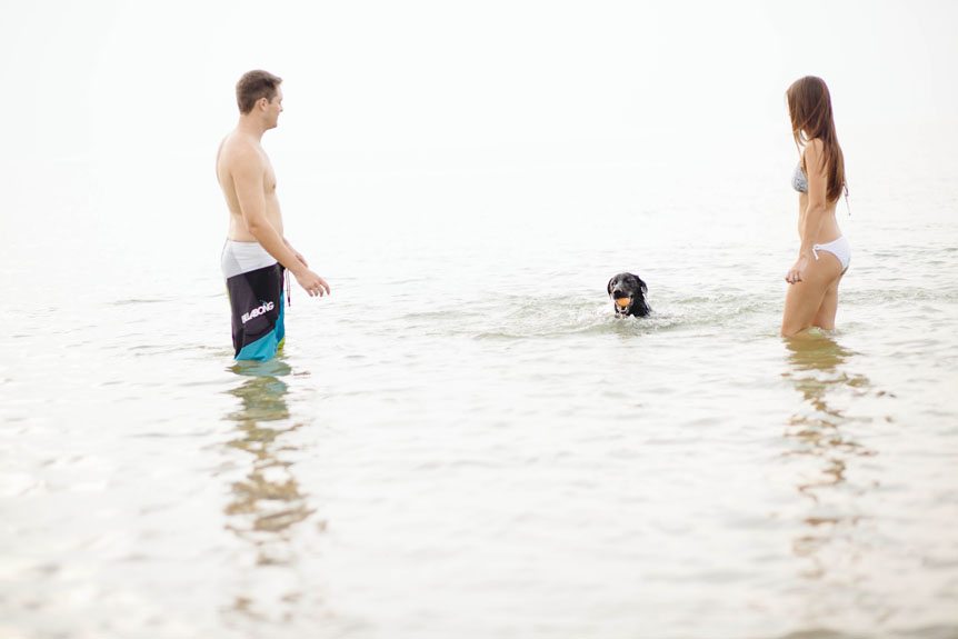 A couple at the beach playing with their black lab on the water.