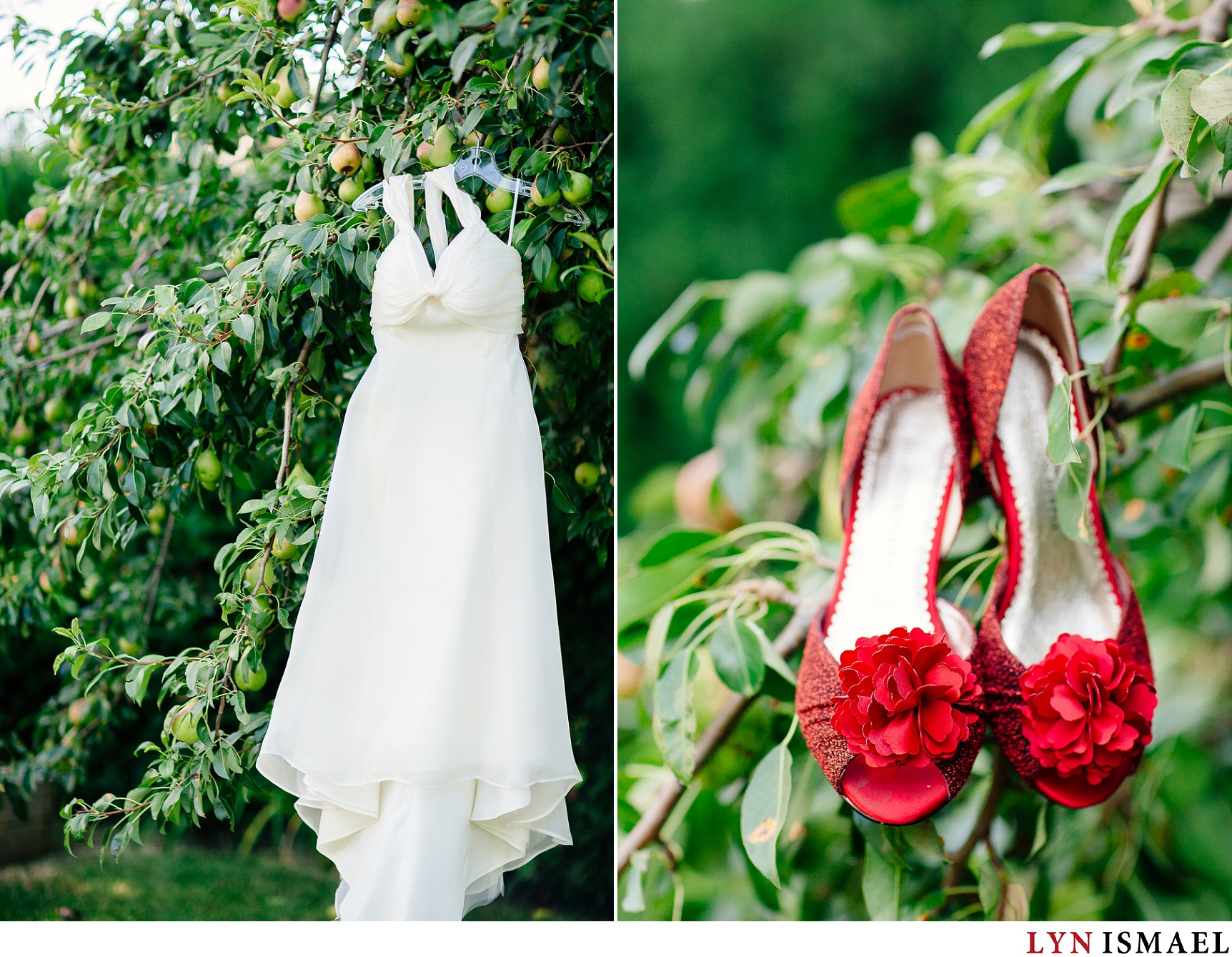 Rivini wedding dress and red shoes hanging in a pear tree