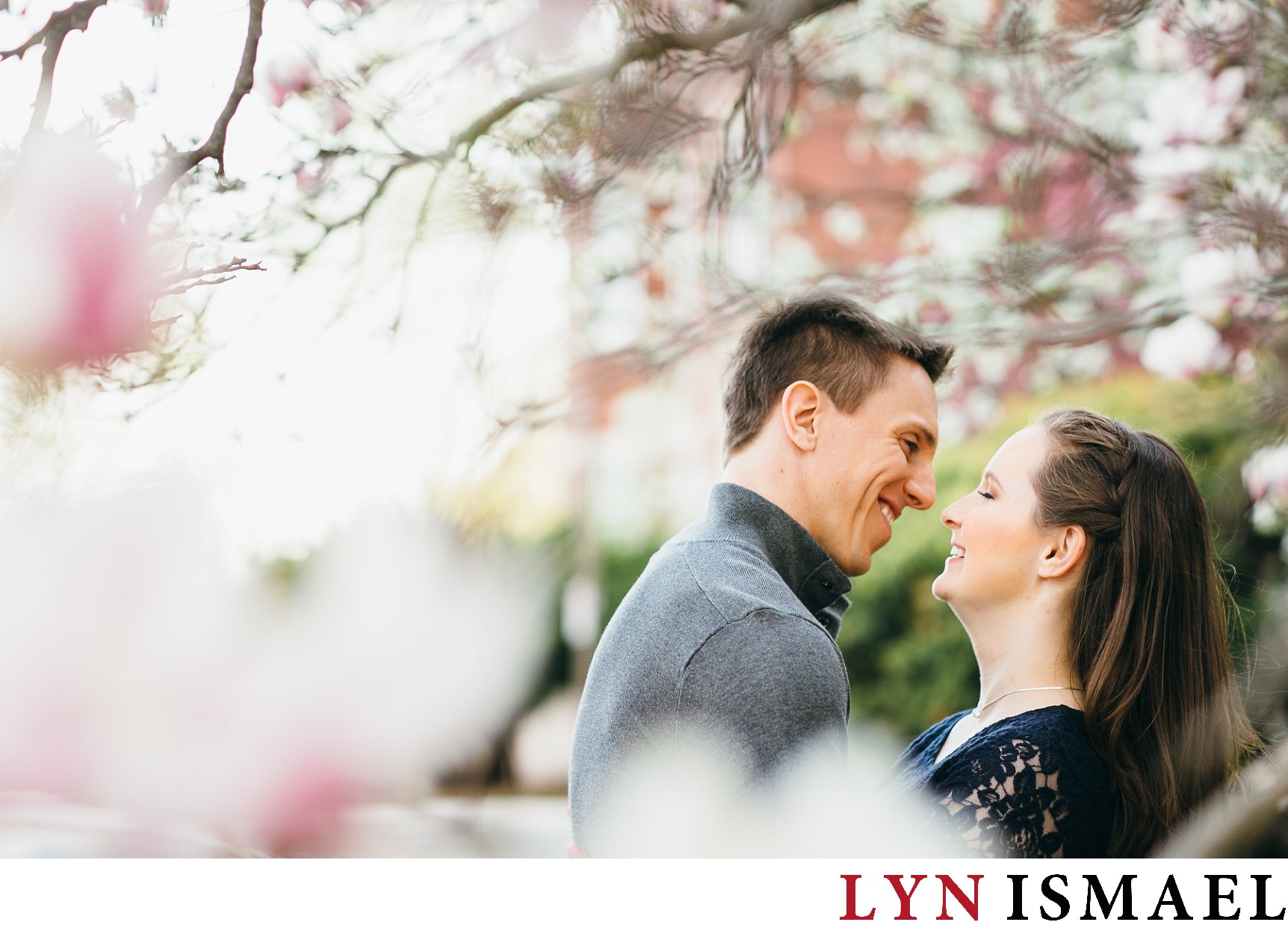 romantic engagement session in Guelph under Magnolia trees