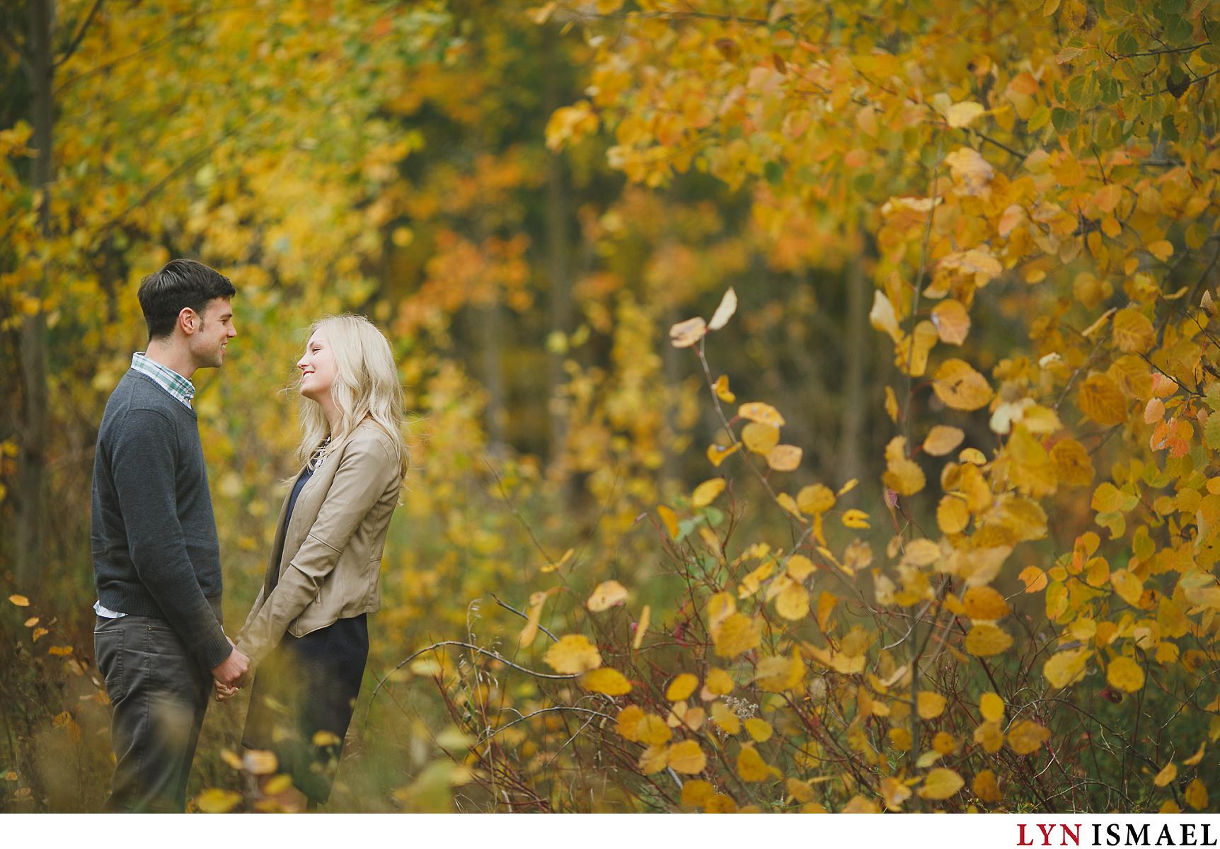 A beautiful fall engagement session at Huron Natural Area