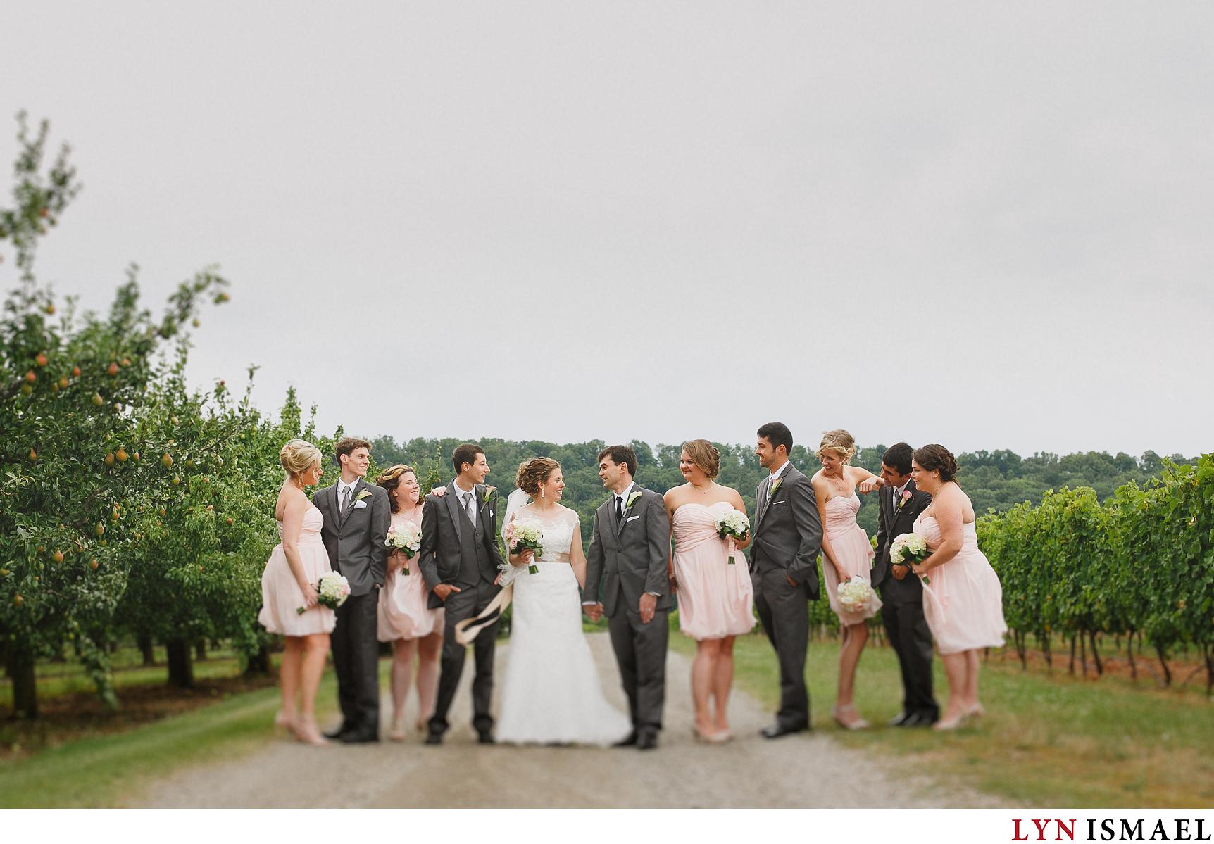 Wedding party poses with the bride and groom at Puddicombe Farms