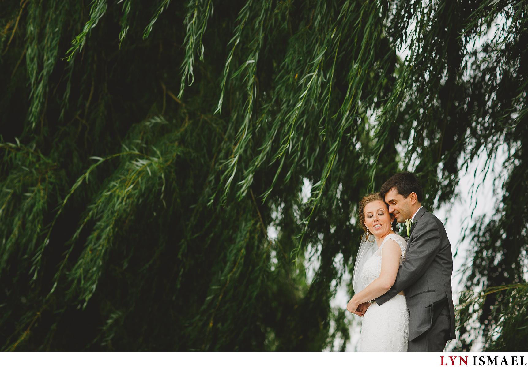 A portrait of the bride and groom under old willow trees at Puddicombe Farms in Winona, Ontario