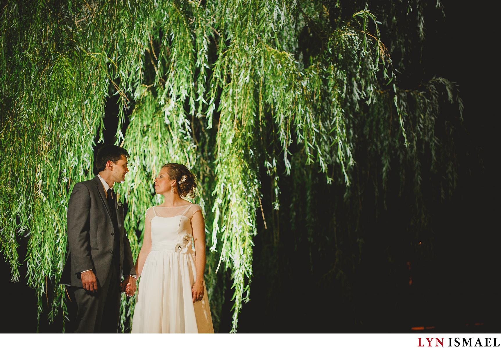 Night portrait of a newly wed bride and groom under a willow tree in Stoney Creek, Ontario.