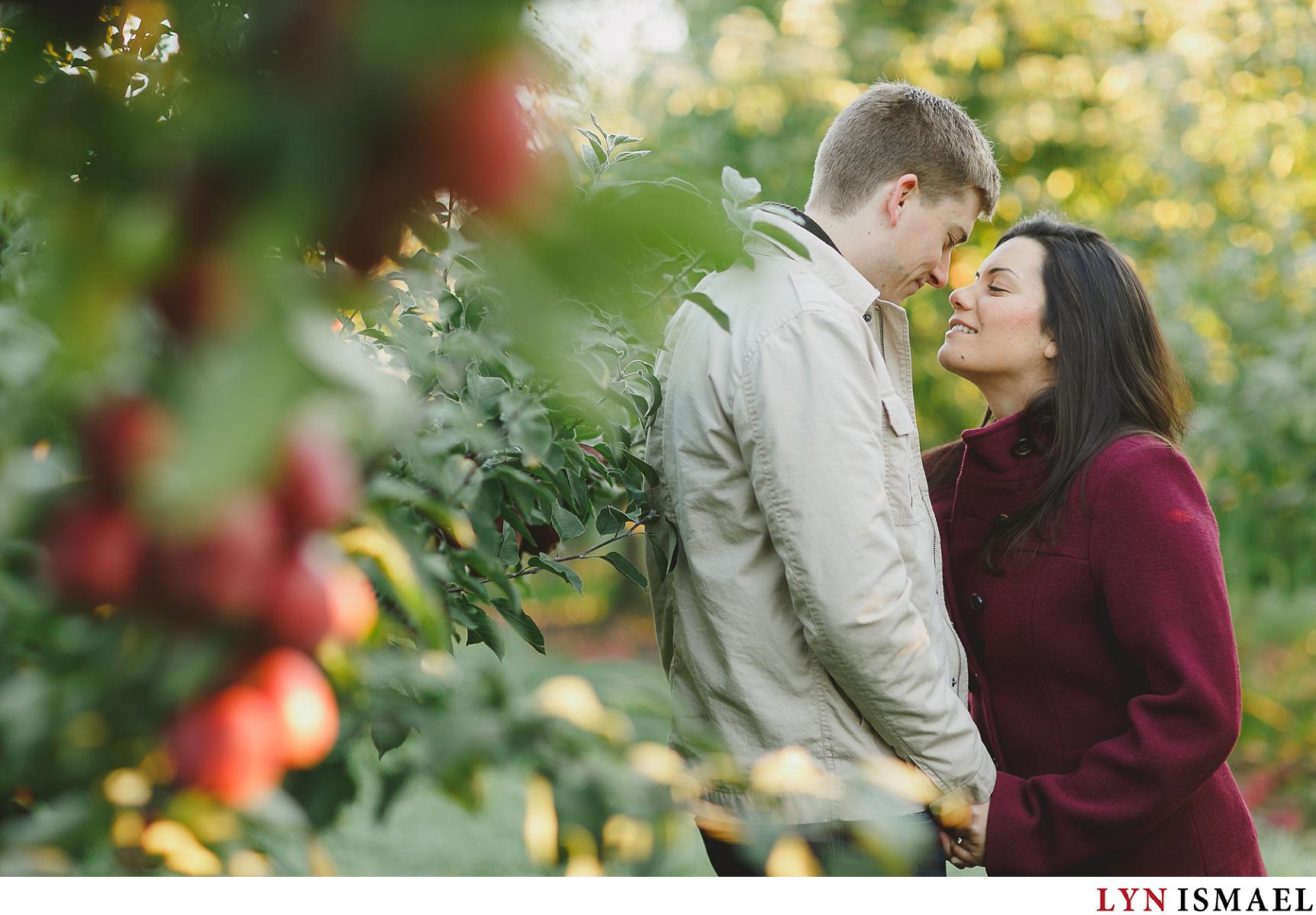 A couple snuggles to keep warm during their fall engagement session at an apple orchard in St Jacob's, Ontario.