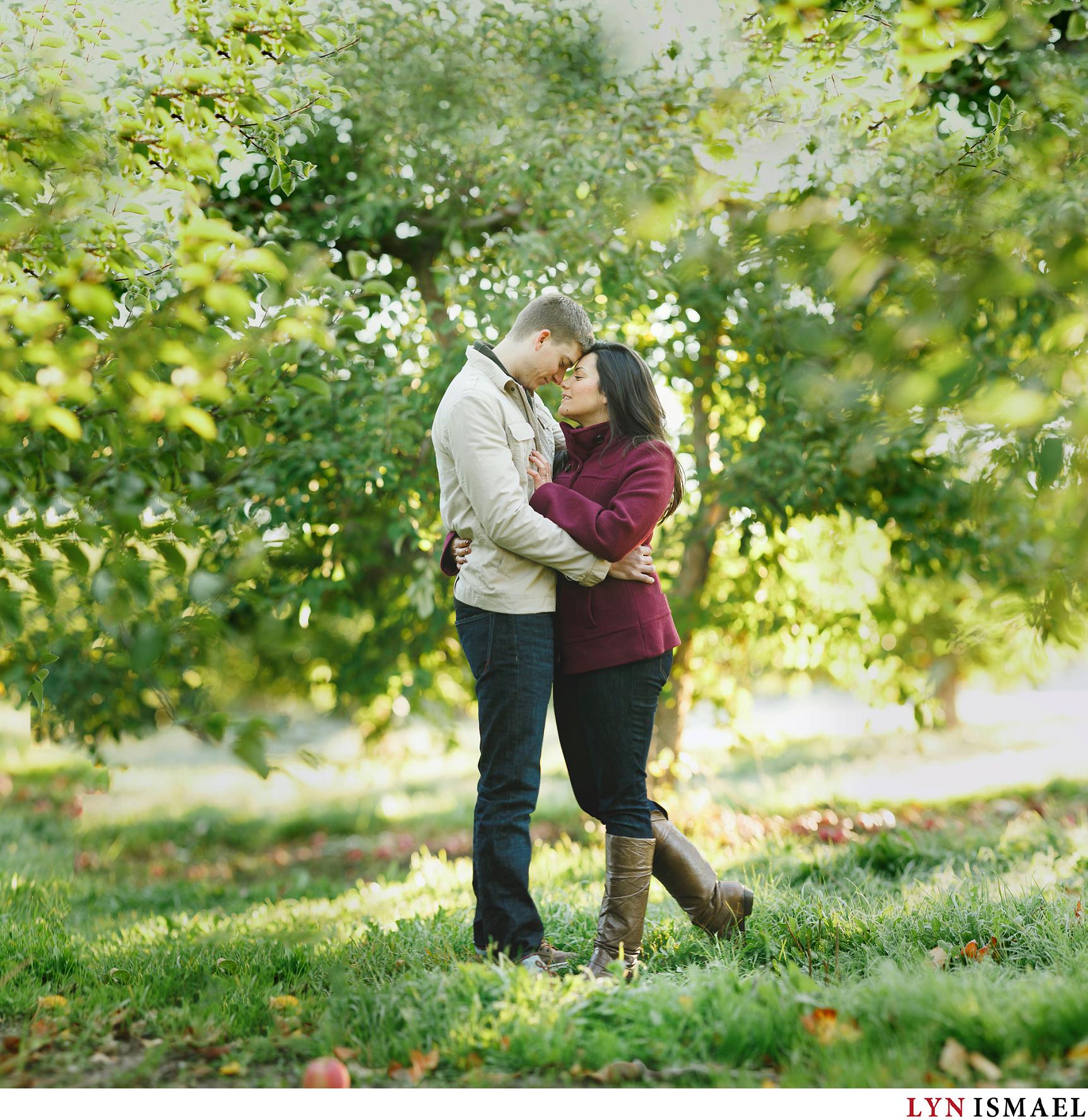 Brenizer method used for a couple's apple orchard fall engagement session in St Jacob's, Ontario