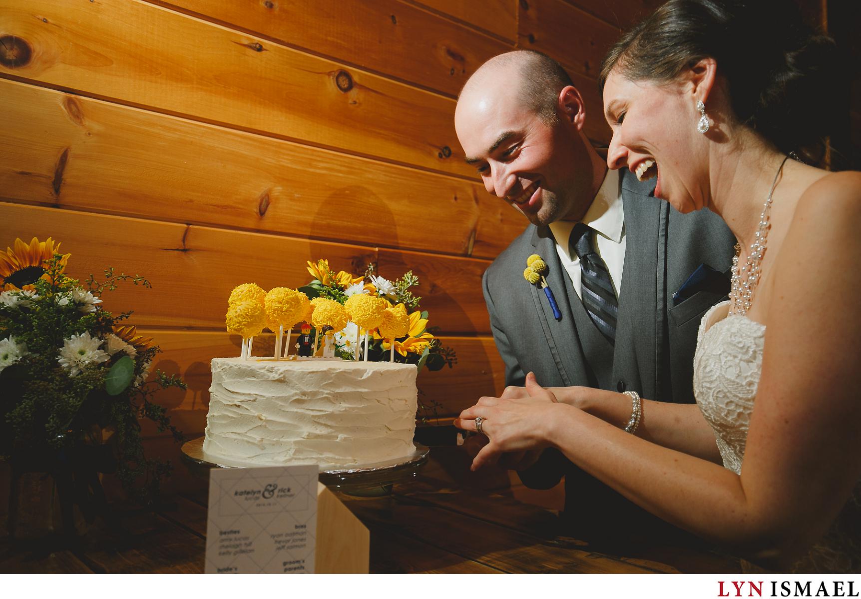 Bride and groom cut their cake at their Holland Marsh wedding reception