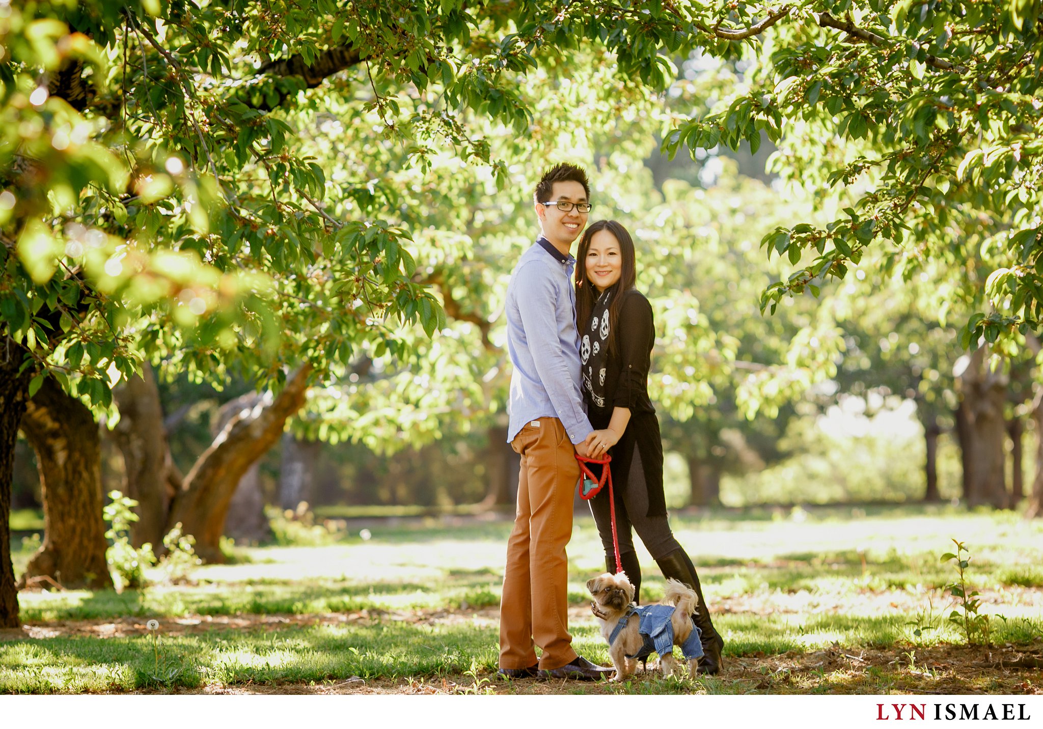 Engagement session in Puddicombe Farms with their cute puppy