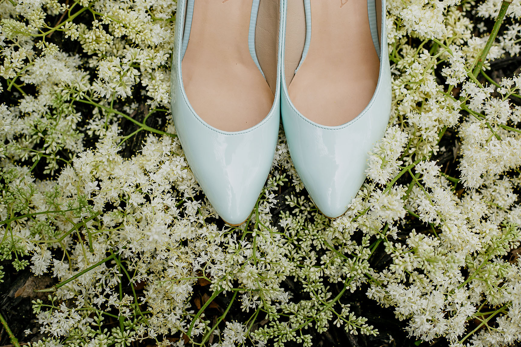 Aqua shoes on a bed of flowers
