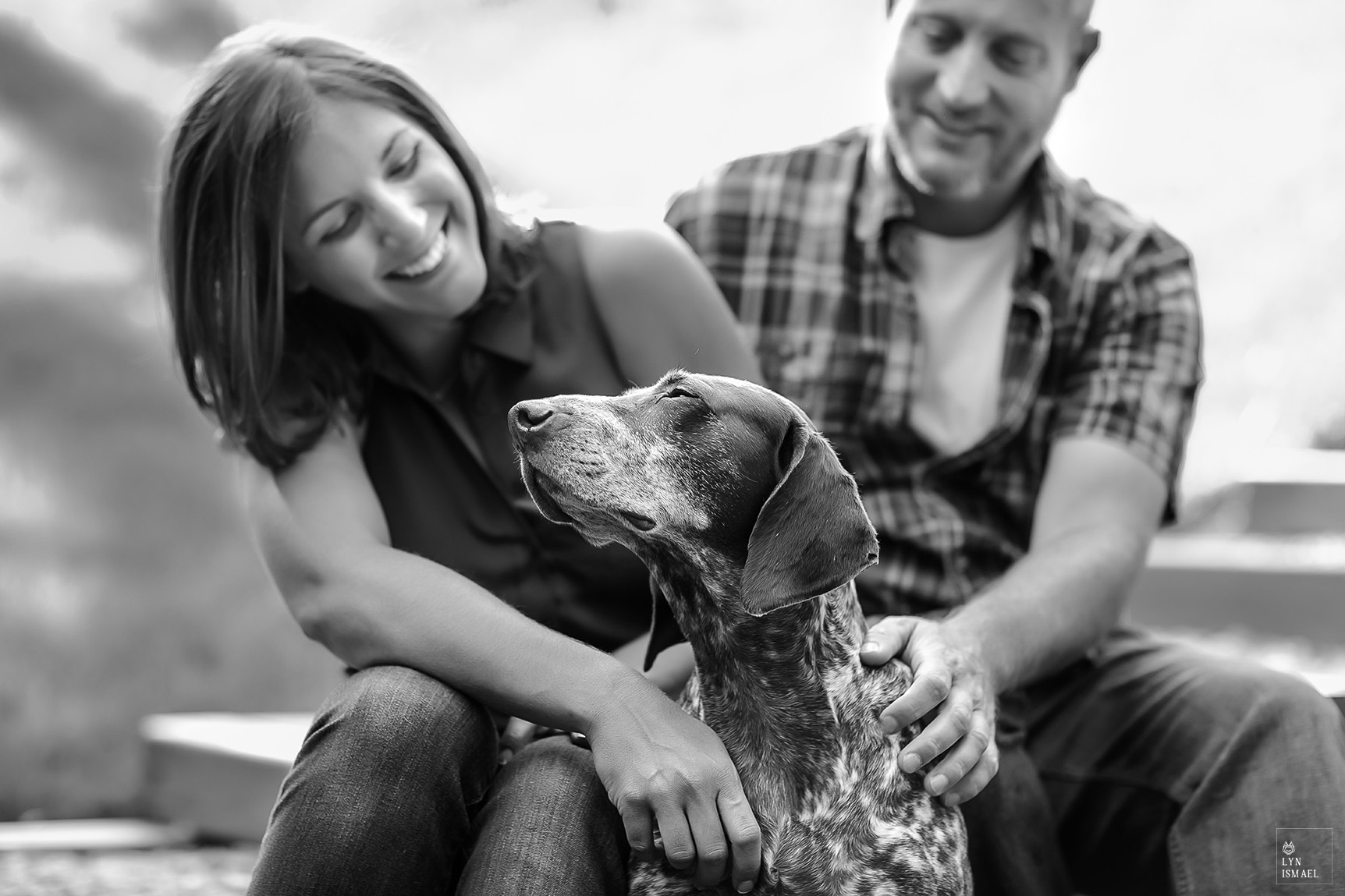 German shorthaired pointer takes in all the love from her humans at an engagement session in Innisfil