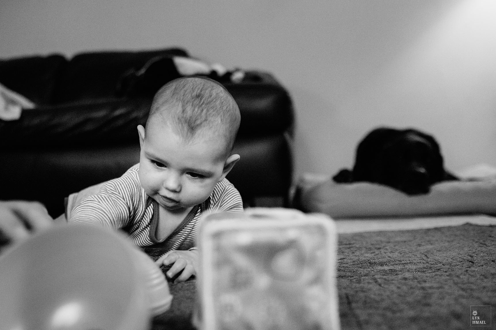 A baby boy plays with his toys in the living as captured by Kitchener family documentary photographer.
