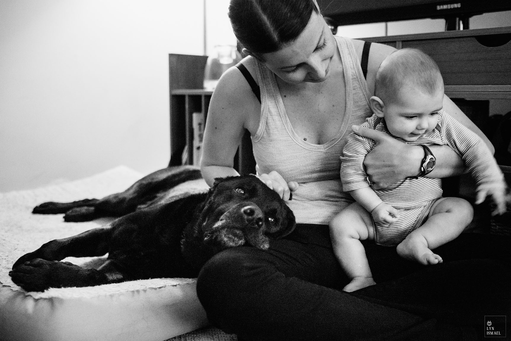 A black lab vies for attention as photographed by Kitchener family documentary photographer