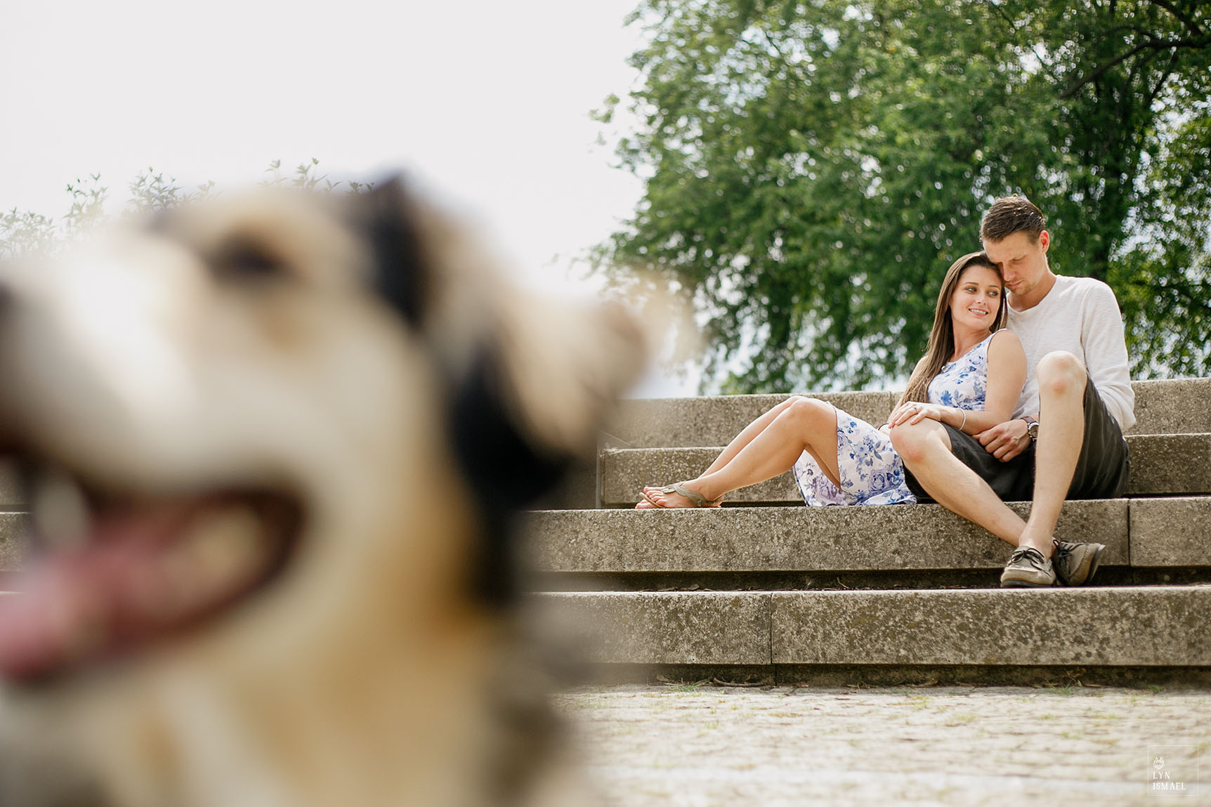 Portrait of an engaged couple with their dog in Coronation Park in Toronto.
