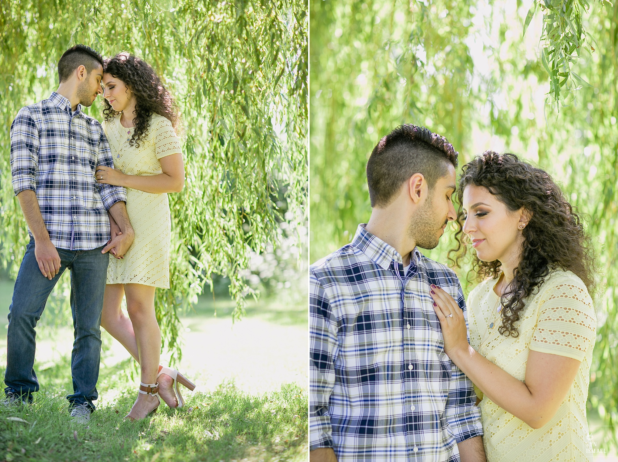 An engaged couple posing under a willow tree for their Toronto Island engagement session