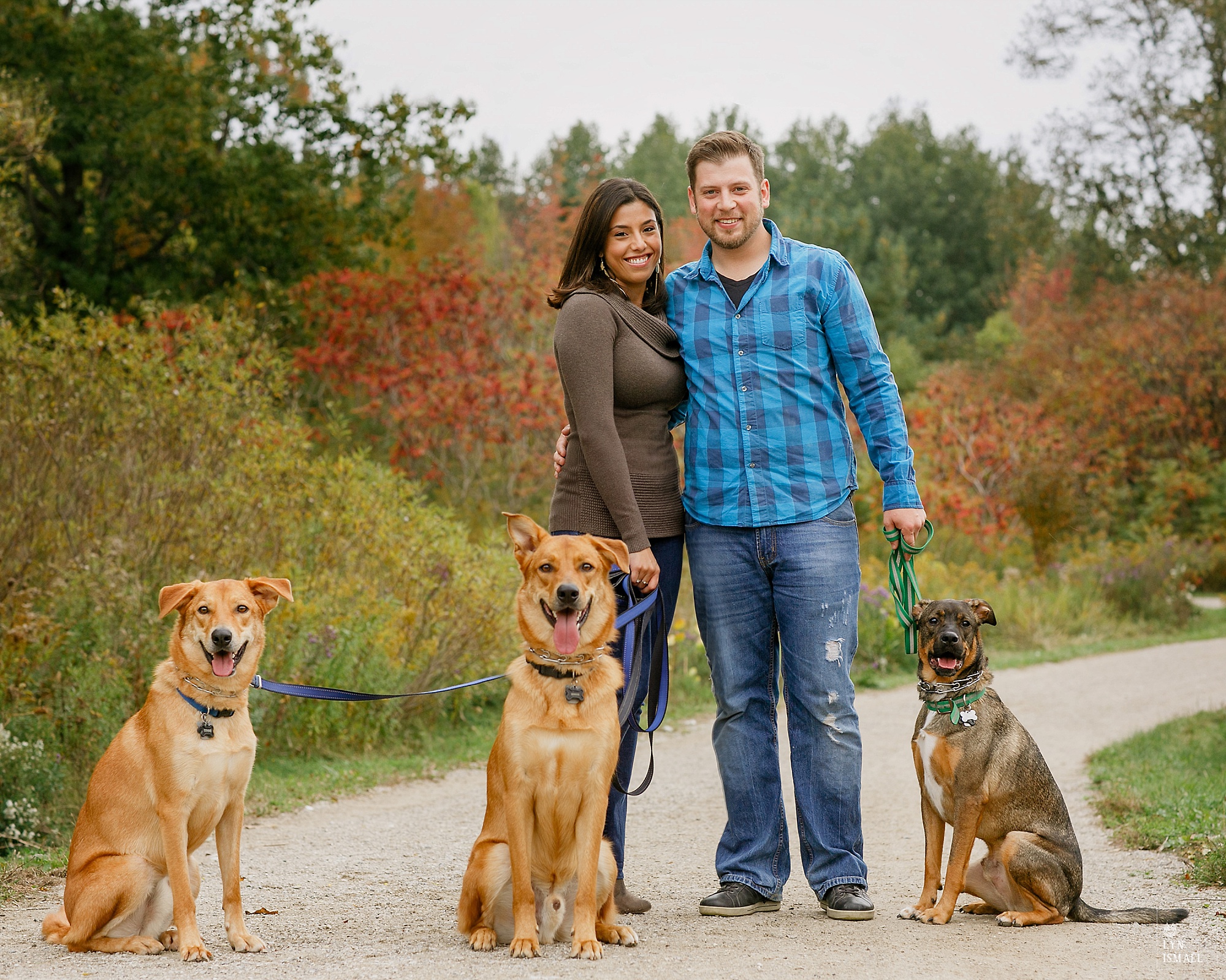 Engagement session with dogs in Kitchener