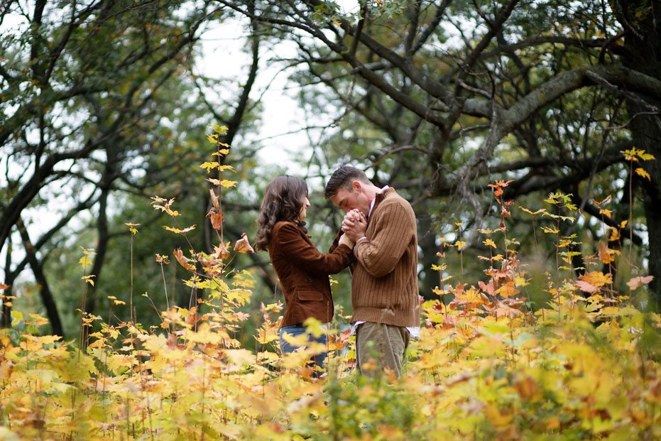 a romantic engagement session in High Park by Toronto wedding photojournalist