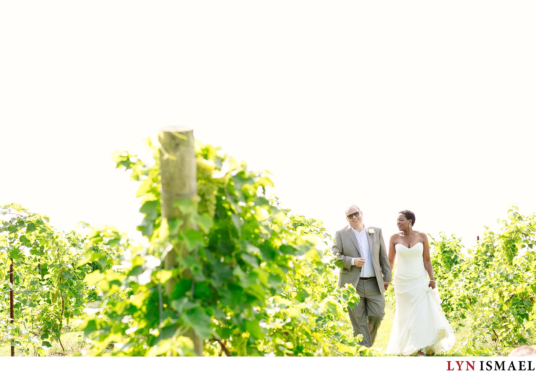 A bride and groom stroll down the vineyards at the Holland Marsh Wineries in Newmarket before their wedding.