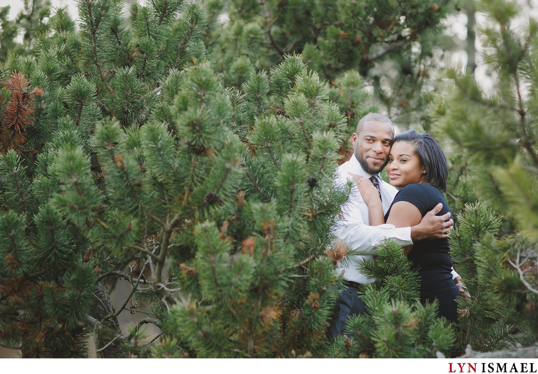 A couple in the middle of a pine tree