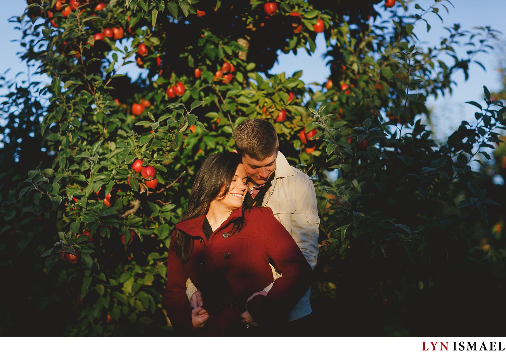 A sunrise engagement session at Martin's Apple in St Jacob's, Ontario.